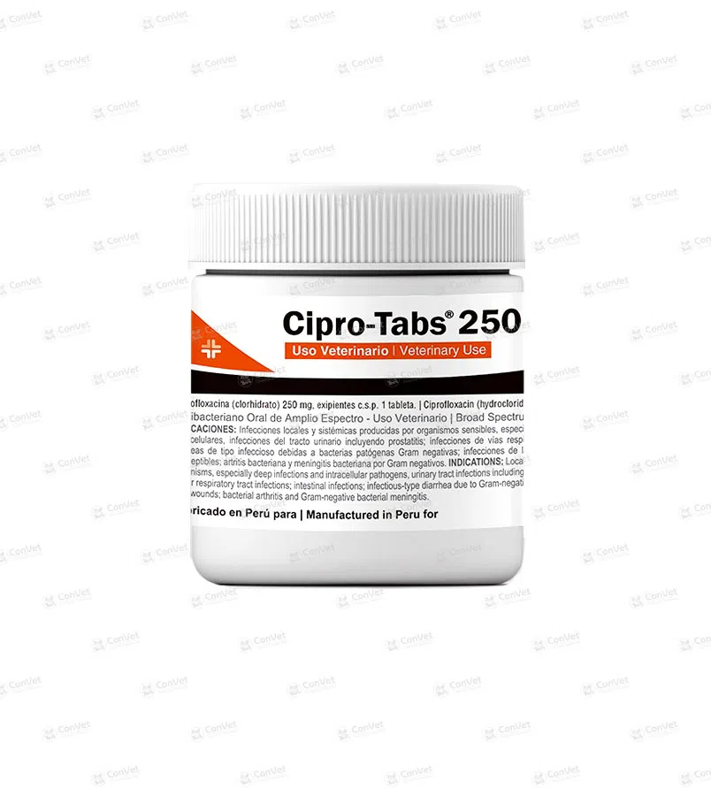 0030101019-CIPRO-TAB-250-x-30-UND.webp