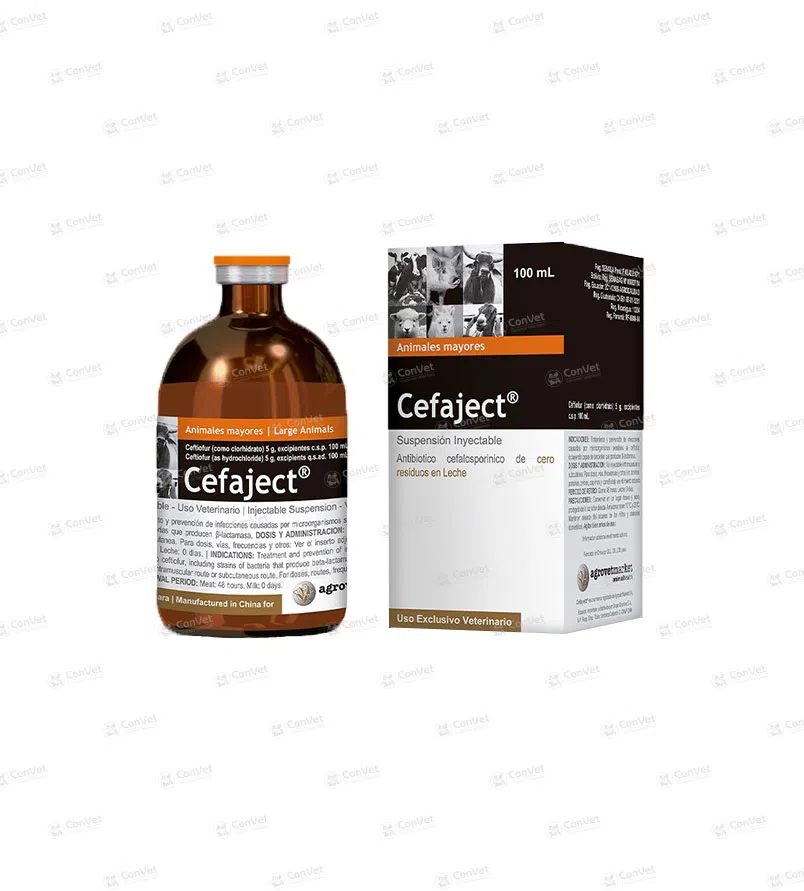 0030101048-CEFA-JECT-x-100-ML.webp