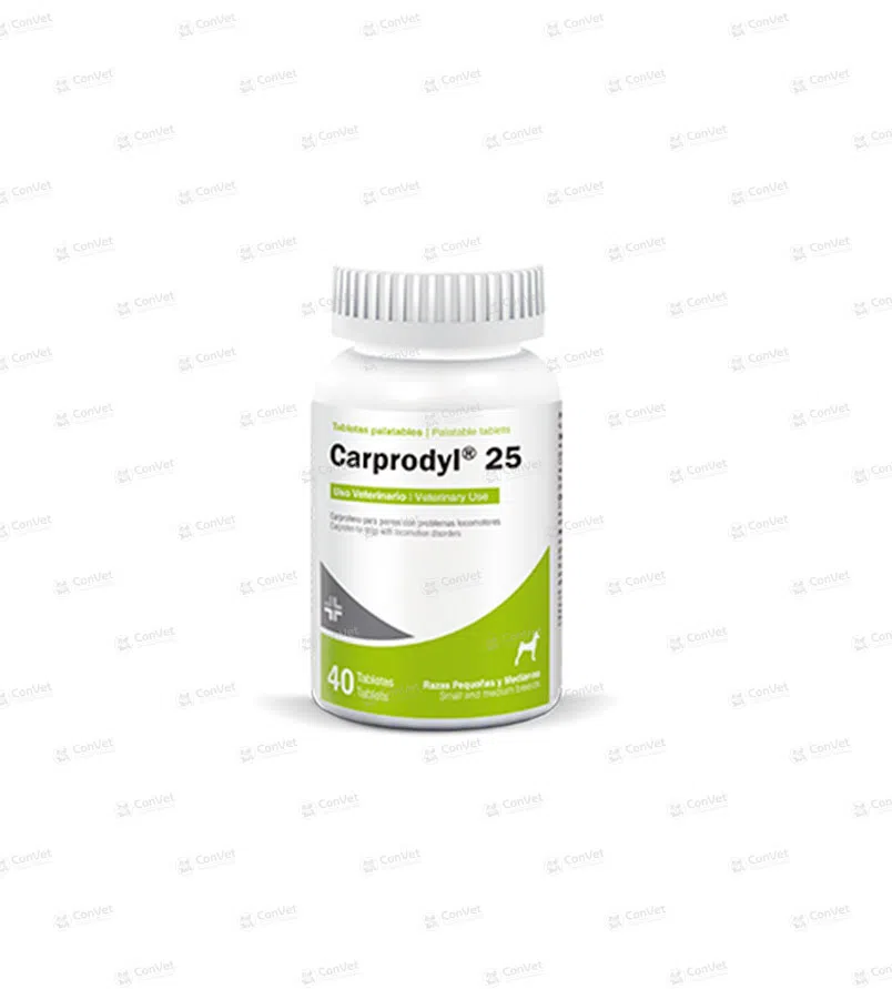 0030113005-CARPRODYL-25-x-40-UND.webp