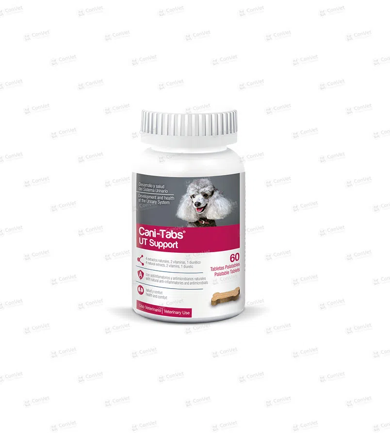 0030137023-CANI-TABS-UT-SUPPORT-x-60-UND.webp