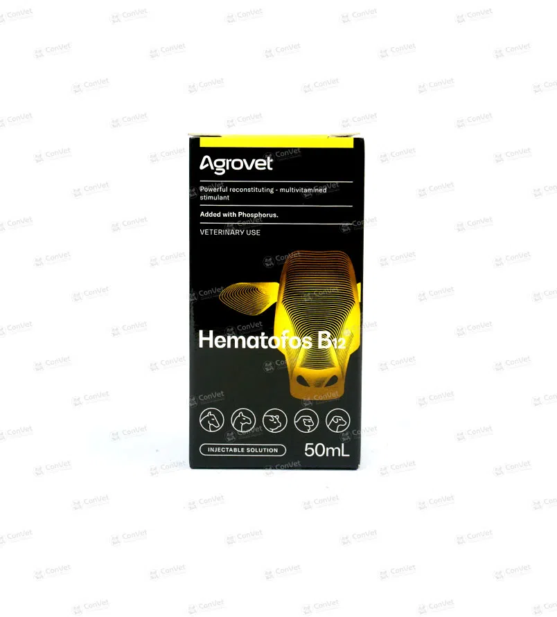 0030137052-HEMATOFOS-B12-x-50-ML.webp