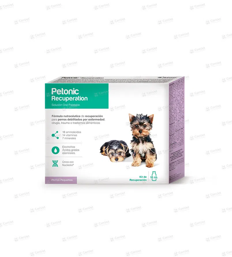 0030137064-PETONIC-RECUPERATION-x-55-ML.webp