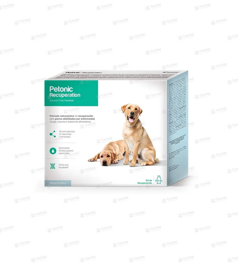0030137066-PETONIC-RECUPERATION-x-275-ML.webp