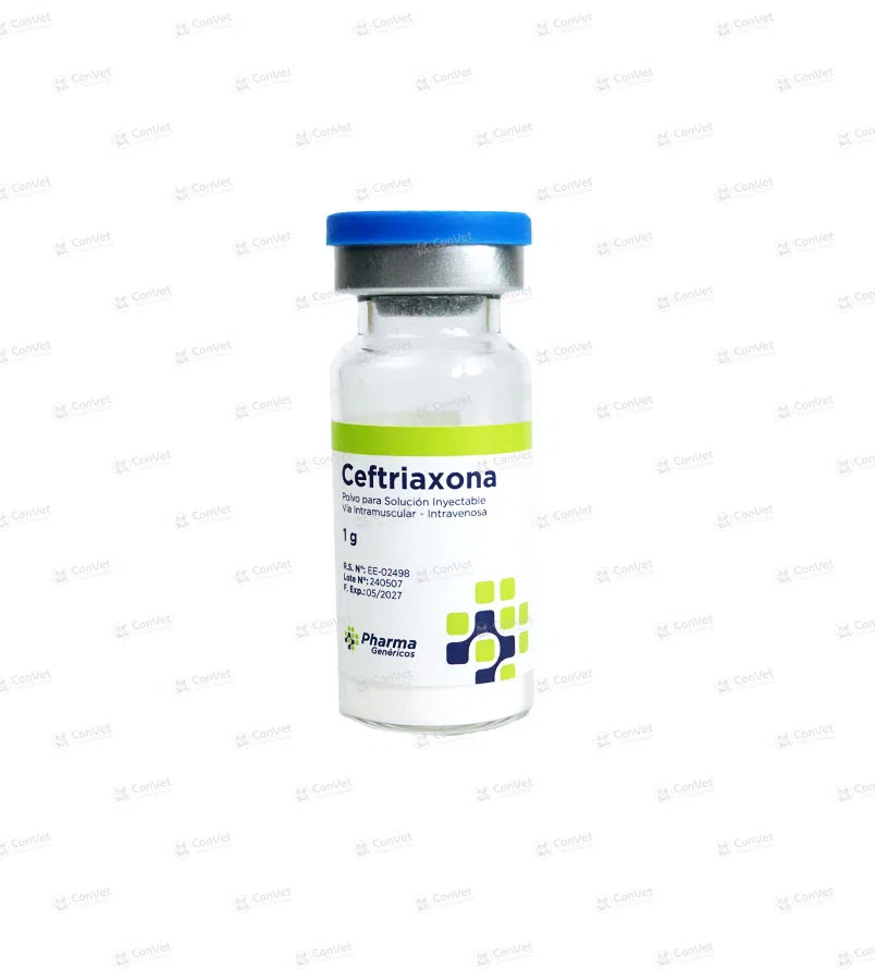 0041025005-CEFTRIAXONA-INY-x-1-GR.webp