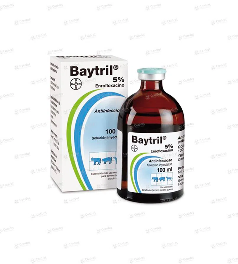 0080101007-BAYTRIL-5-x-100-ML.webp