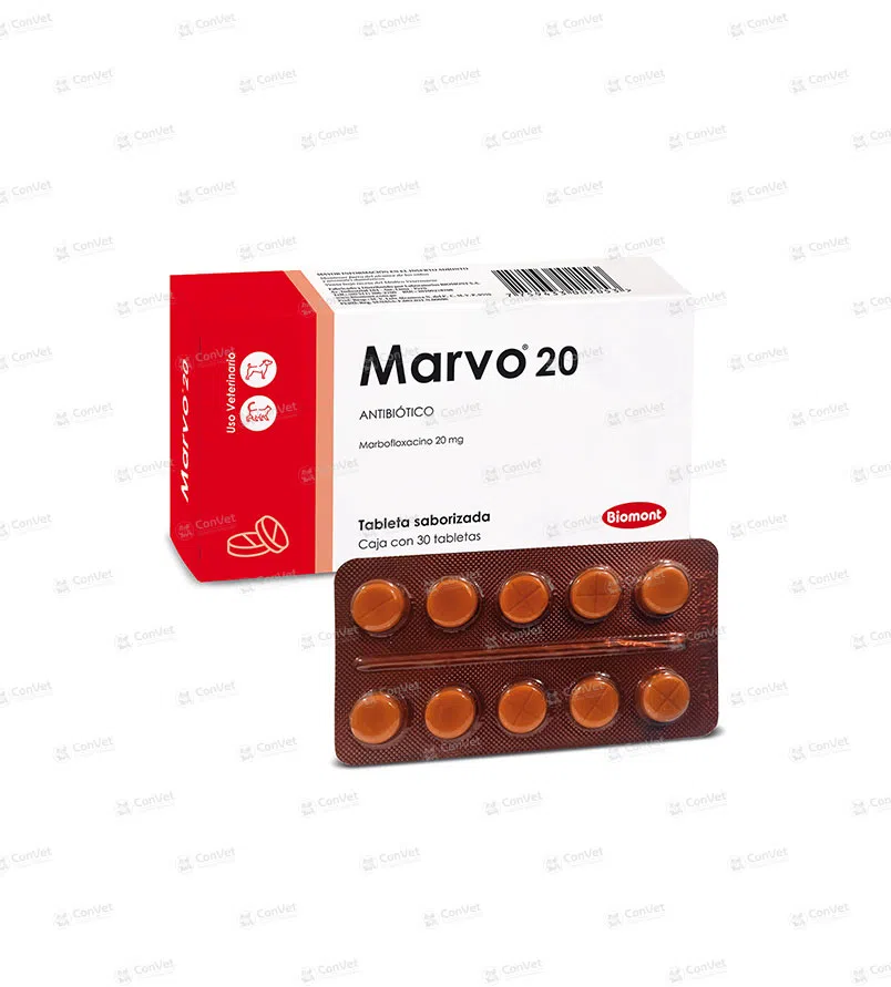 0110101041-MARVO-20-x-30-UND.webp