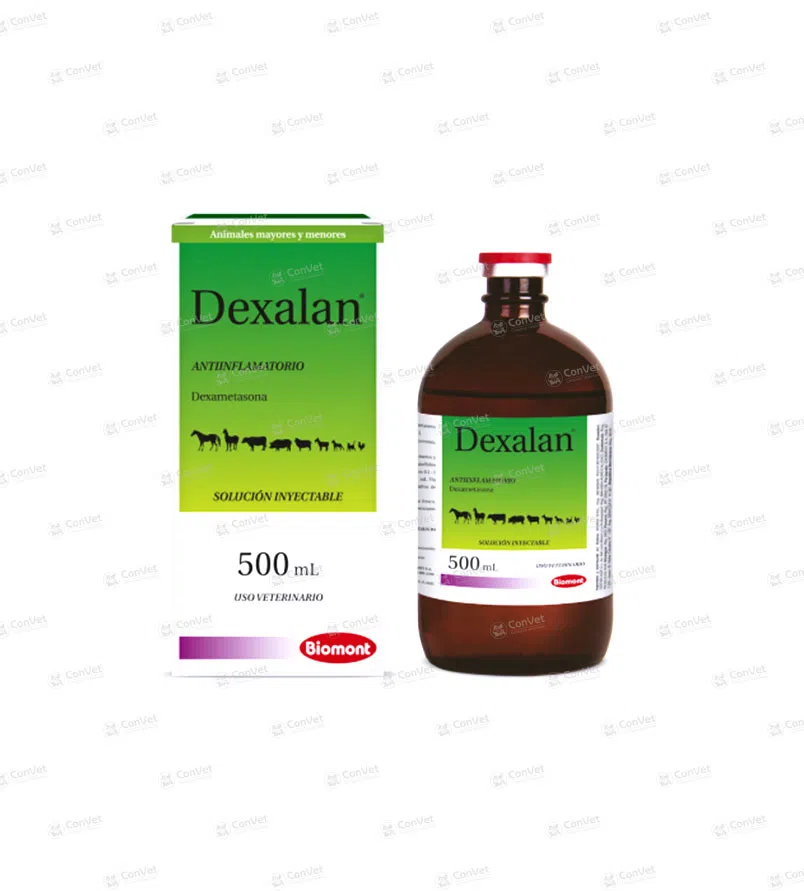 0110113009-DEXALAN-x-500-ML.webp