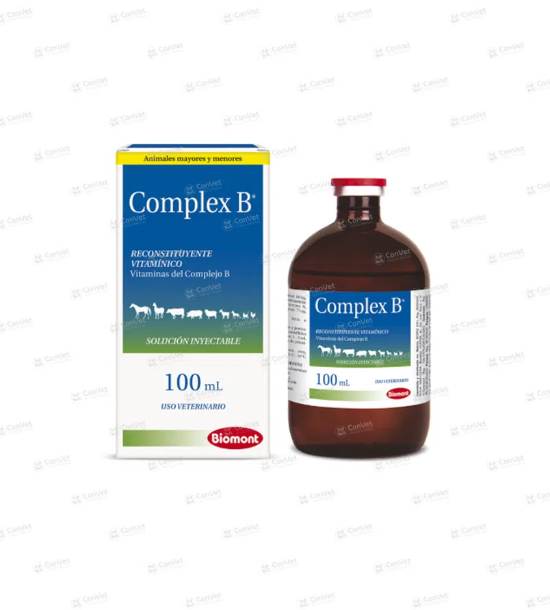 0110137018-COMPLEX-B-x-100-ML.webp
