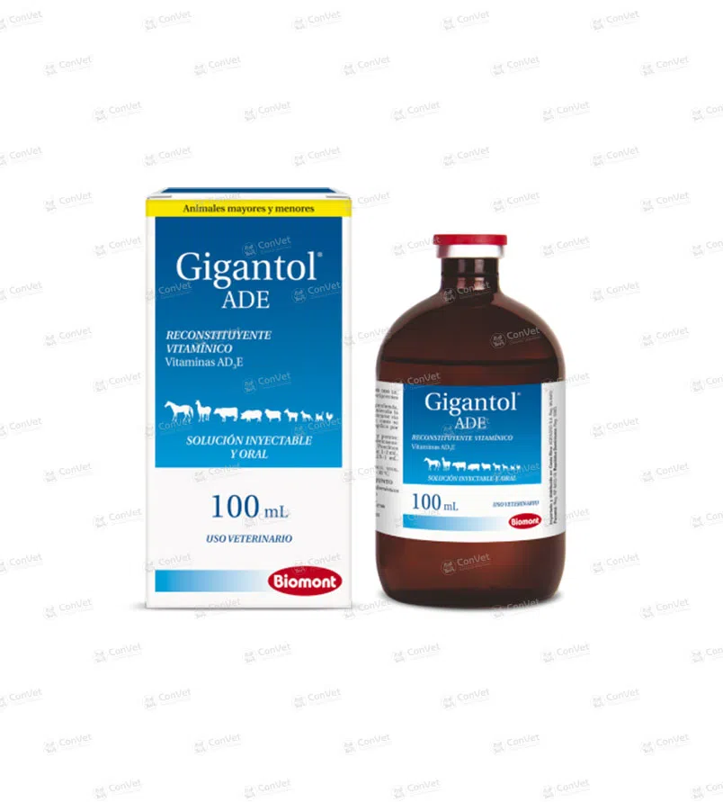 0110137029-GIGANTOL-ADE-x-100-ML.webp