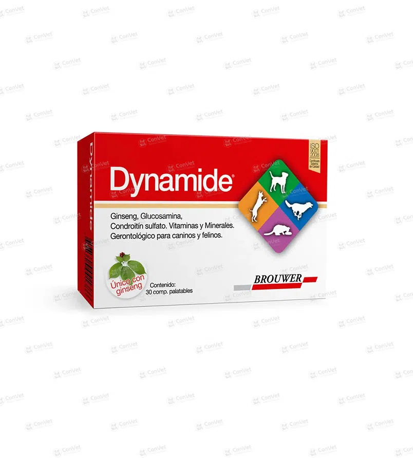 0130137004-DYNAMIDE-x-30-UND.webp