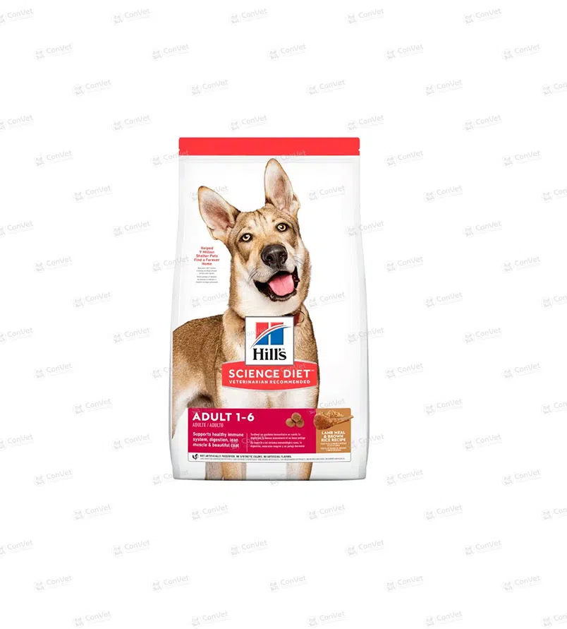0240404062-HILLS-SD-CANINE-ADULT-L-R-x-33-LB-15-KG.webp