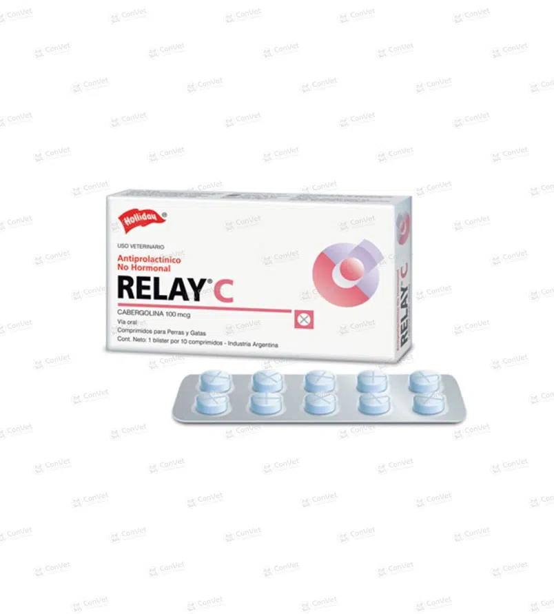 0260101016-RELAY-C-x-CJ-x-10-UND.webp