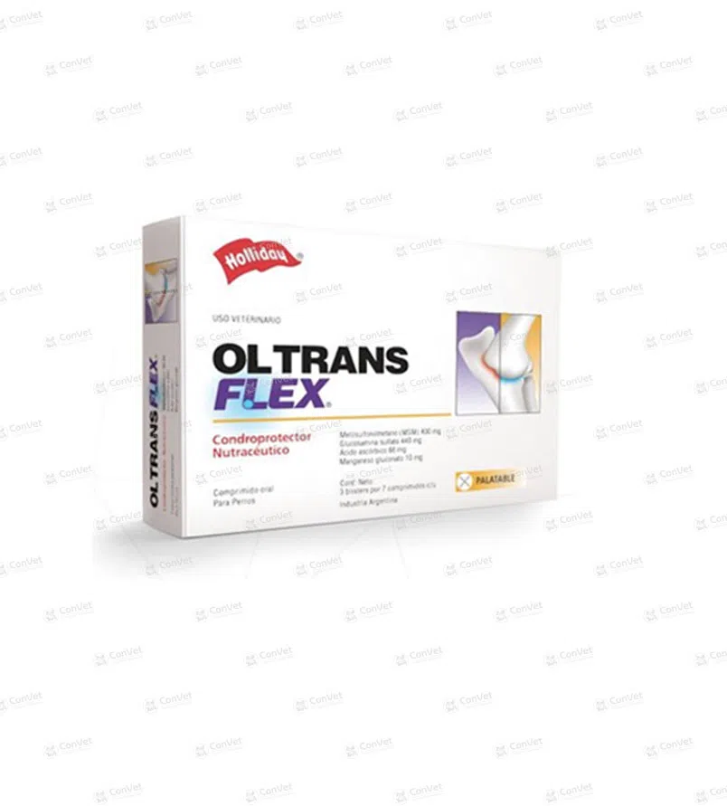 0260137003-OL-TRANS-FLEX-x-21-UND.webp