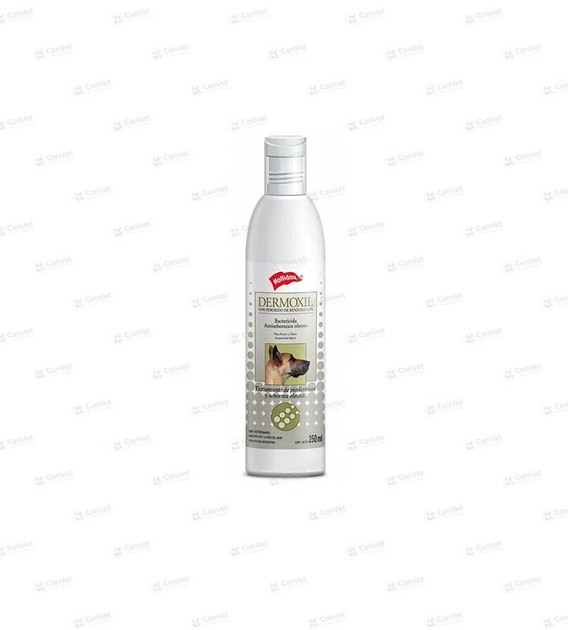 0260833001-DERMOXIL-SHAMPOO-x-250-ML.webp