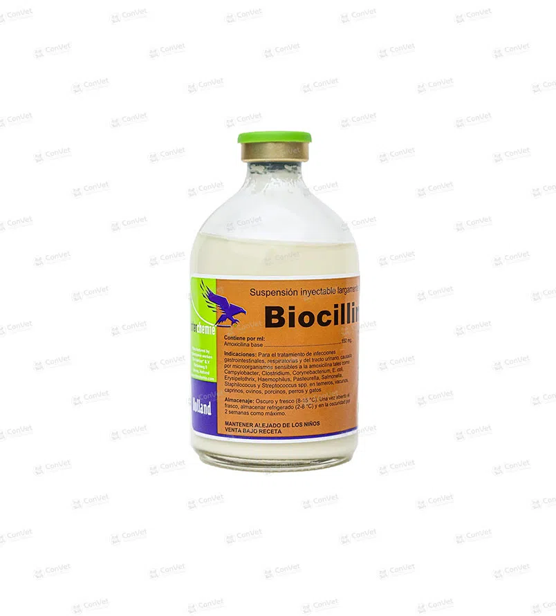 0280101002-BIOCILIN-150-LA-x-50-ML.webp