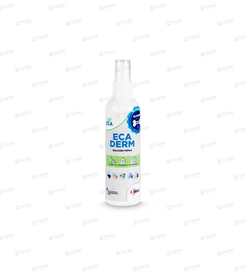 0380118005-ECADERM-PULVERIZADOR-X-120-ML-SPARY.webp