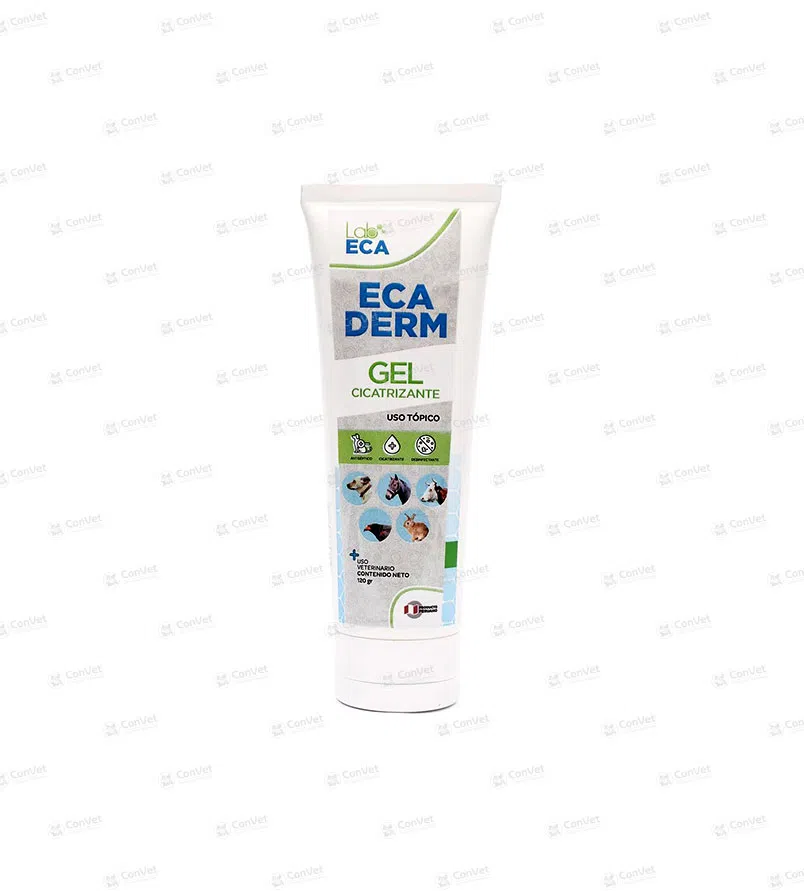 0380122002-ECADERM-GEL-120-GR.webp