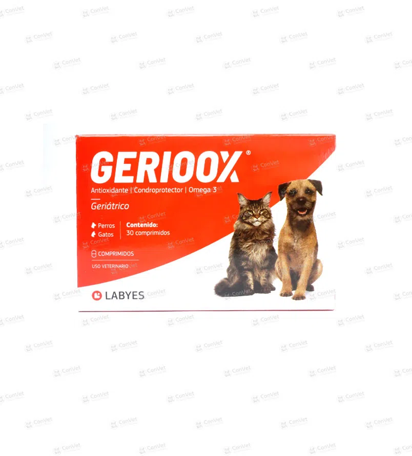 0400137002-GERIOOX-x-CJ-x-30-UND.webp