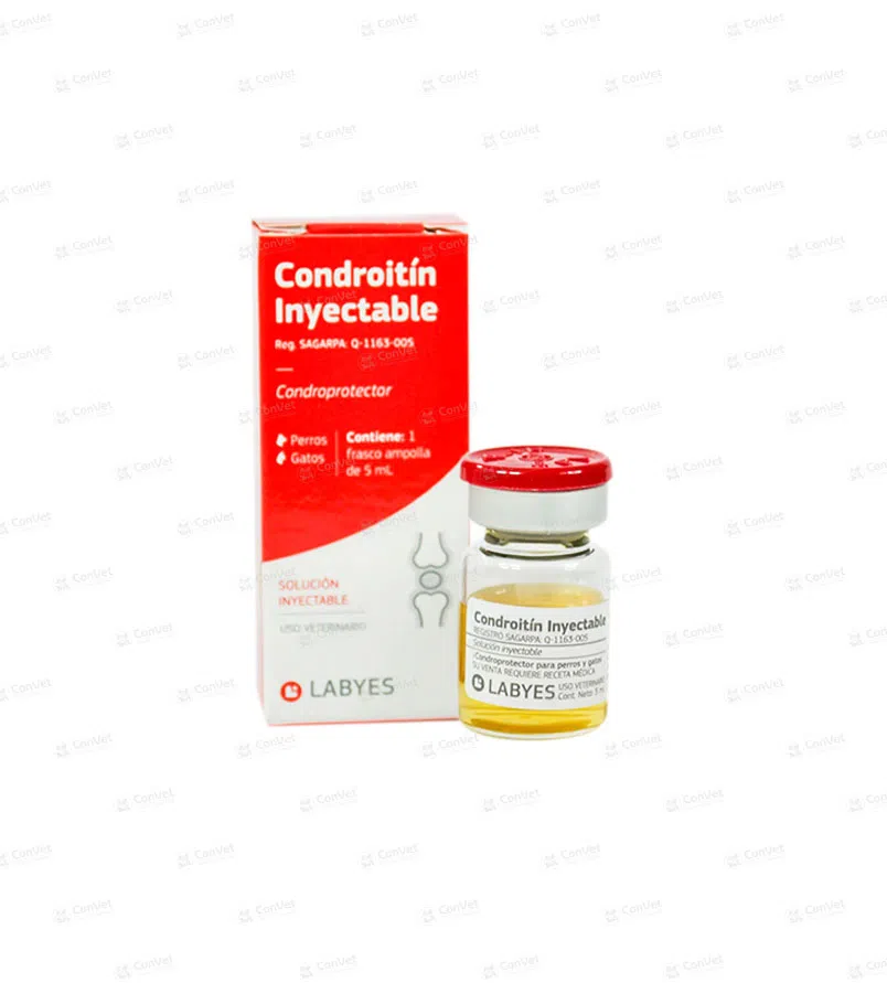 0400137009-CONDROITIN-INYECTABLE-x-5-ML.webp