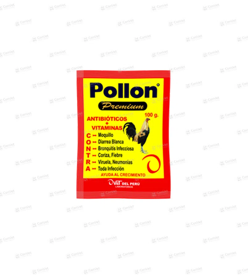0530101003-POLLON-x-100-GR.webp