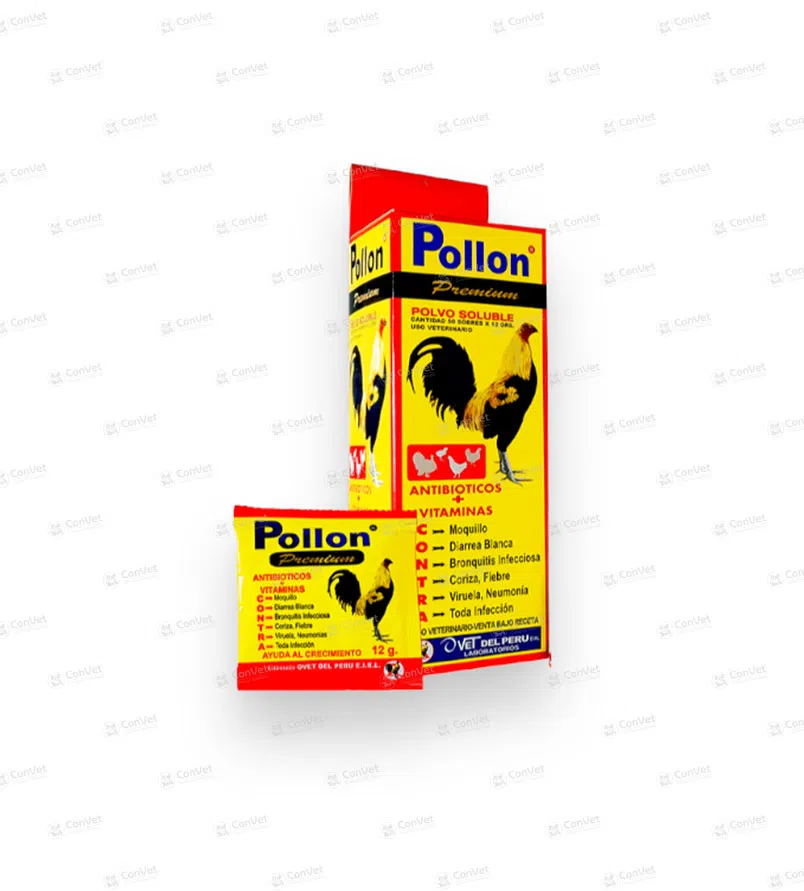 0530101004-POLLON-x-12-GR-x-CJ-x-50-UND.webp