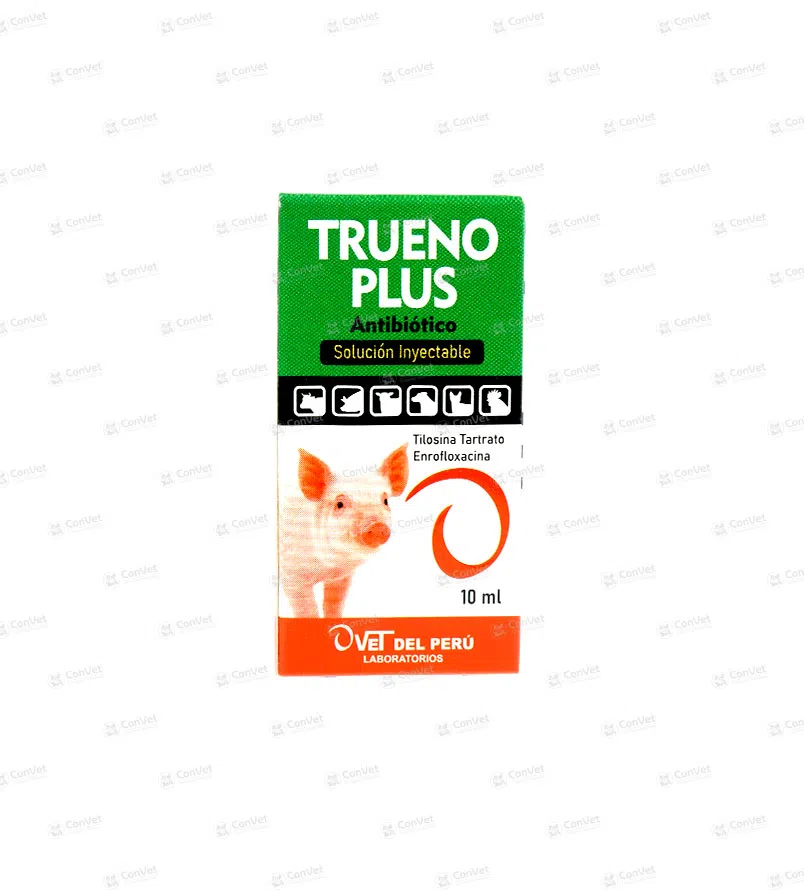 0530101007-TRUENO-PLUS-x-10-ML.webp