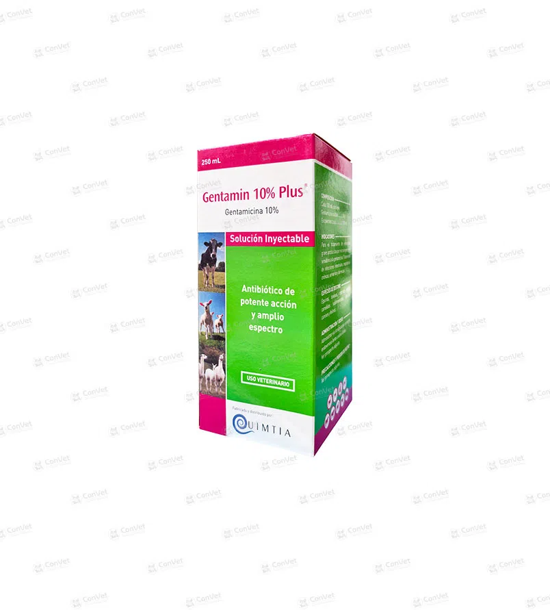 0590101008-GENTAMIN-10-PLUS-x-100-MLGENTAMIN-10-PLUS-x-100-ML.webp