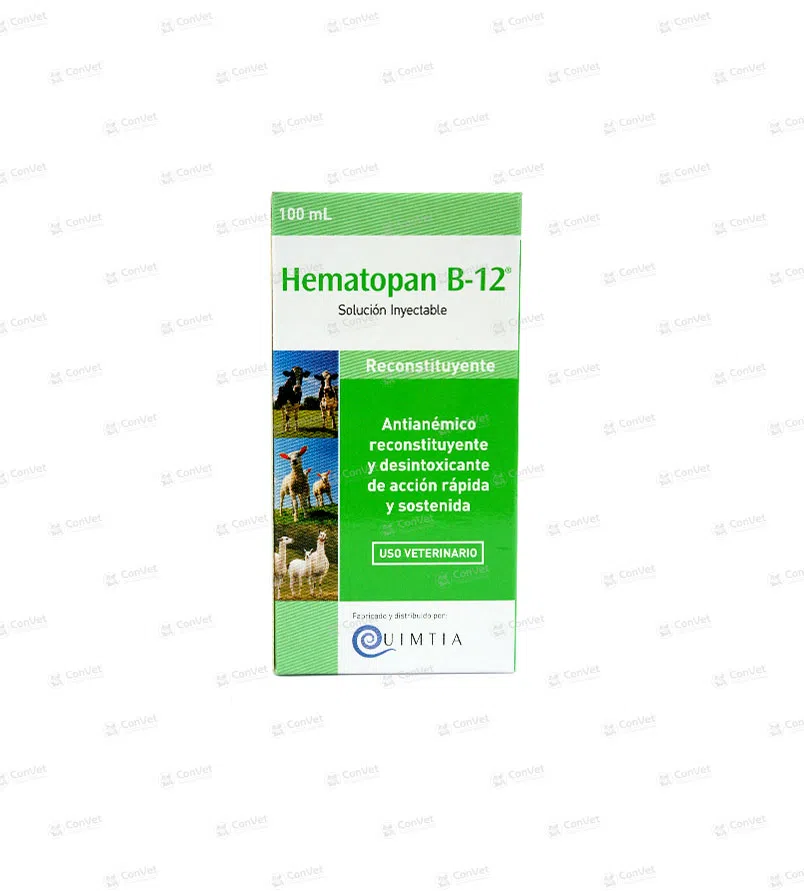 0590137006-HEMATOPAN-B12-x-100-ML.webp