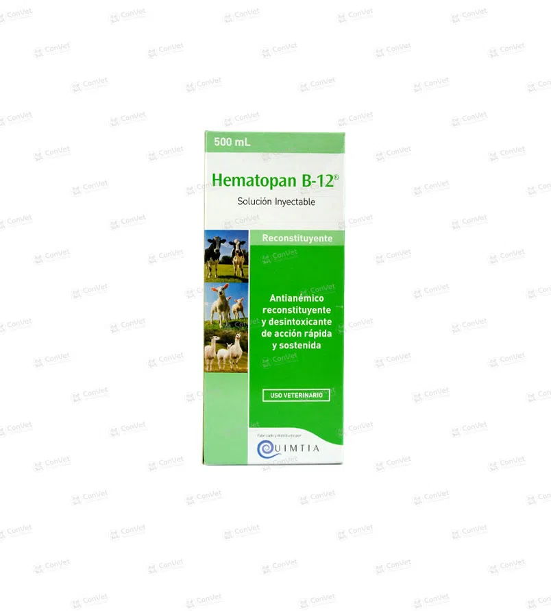 0590137008-HEMATOPAN-B12-x-500-ML.webp