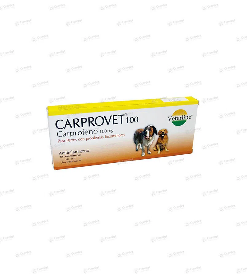 0690101003-CARPROVET-100-x-CJ-x-20-UND.webp