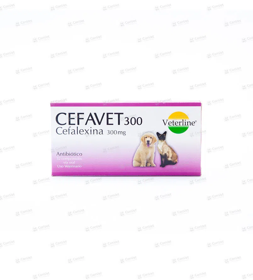 0690101005-CEFAVET-300-MG-x-CJ-x-32-UND.webp