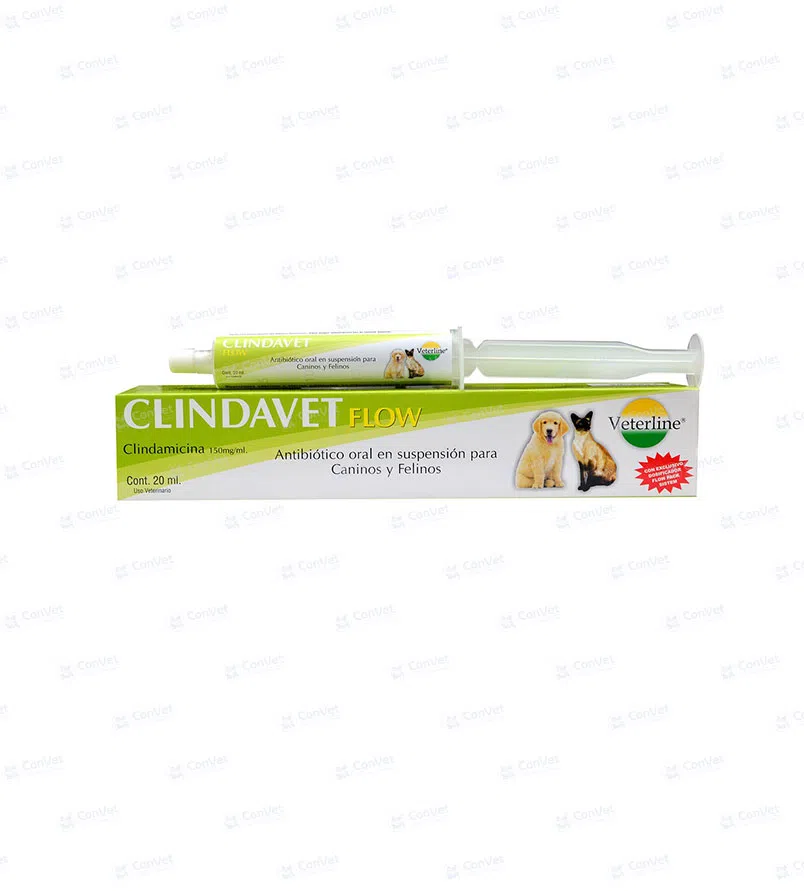 0690101038-Clindavet-Flow-X-20-ML.webp