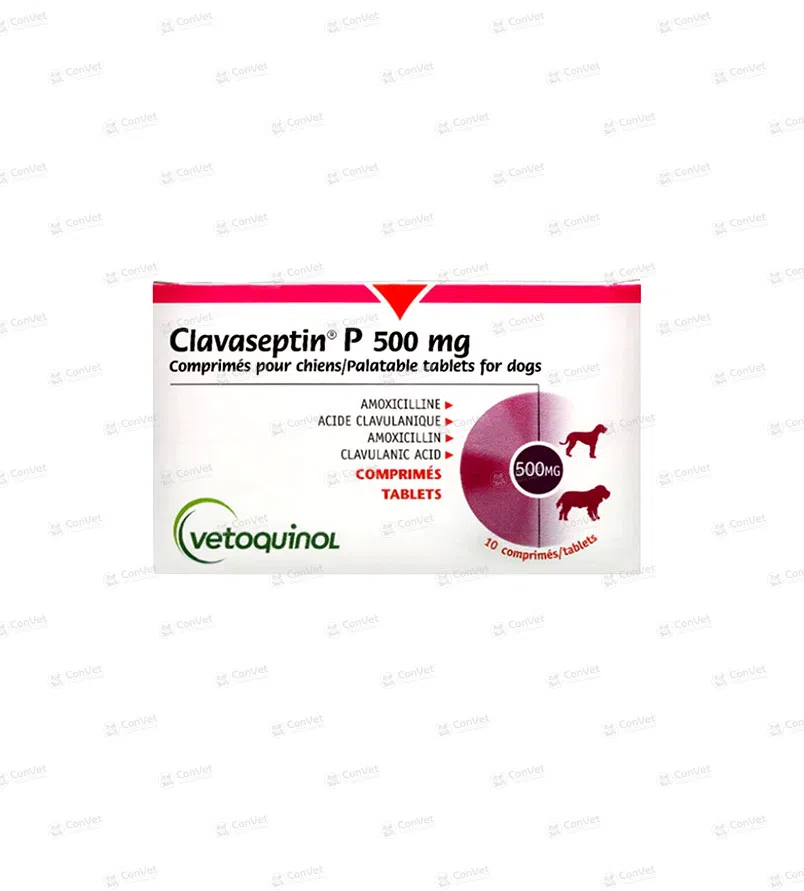 0710101013-CLAVASEPTIN-500-MG-x-BLISTER-x-10-UND.webp