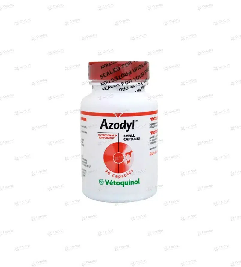 0710137019-AZODYL-x-90-UND.webp