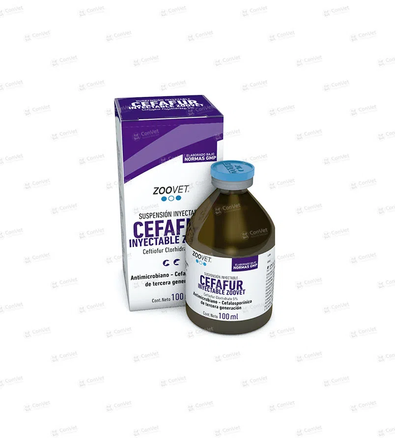 0750101005-CEFAFUR-x-100-ML.webp