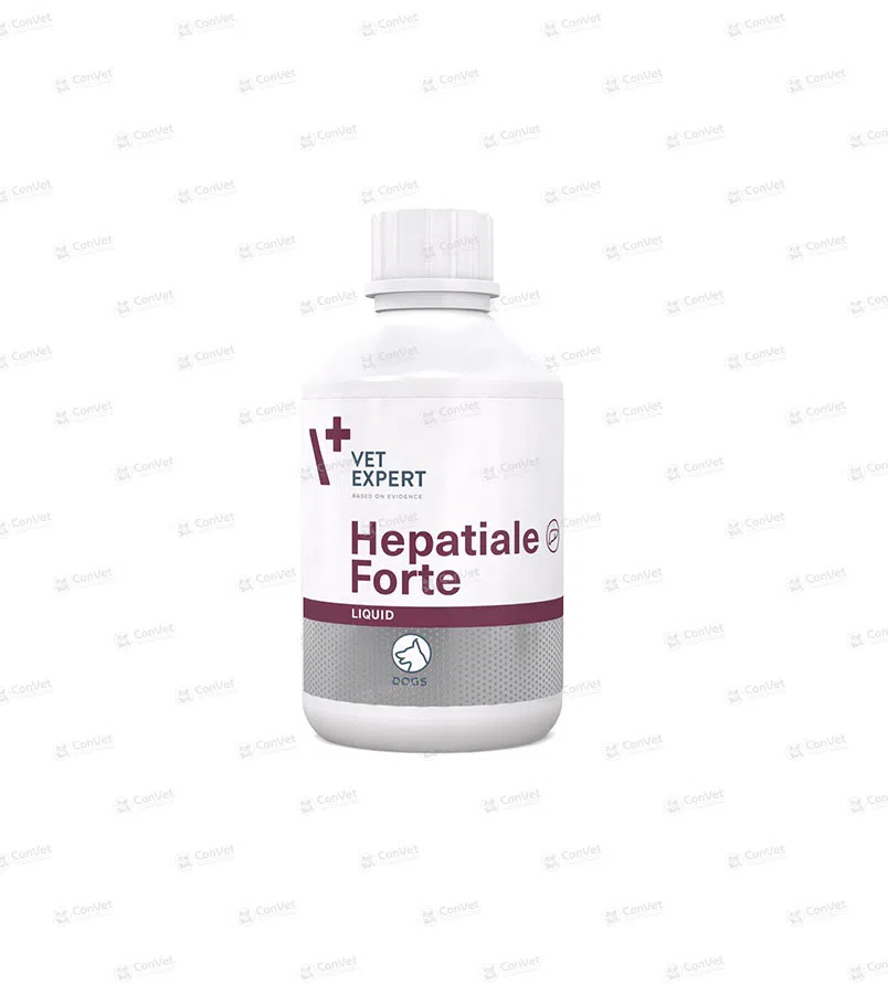 0950137004-VET-EXPERT-HEPATIALE-FORTE-LIQUID-x-250-ML.webp